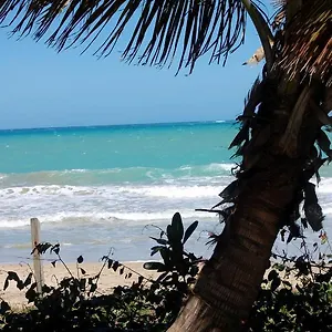 Ivbb Beach Studio San Juan