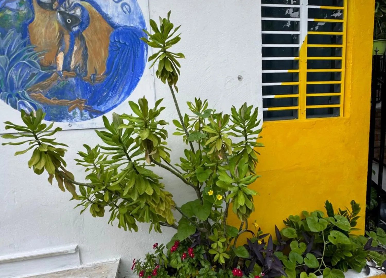 Casita Natural Village #4 San Juan 0*,  Puerto Rico